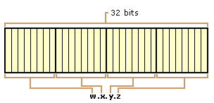 广义的 IP 地址